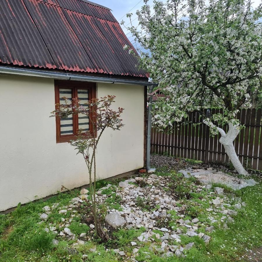 Vila Paula & Spa Совата Екстериор снимка