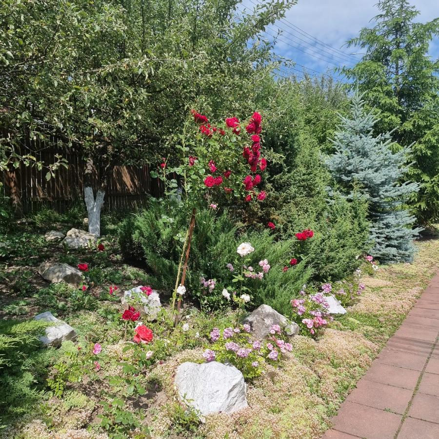 Vila Paula & Spa Совата Екстериор снимка