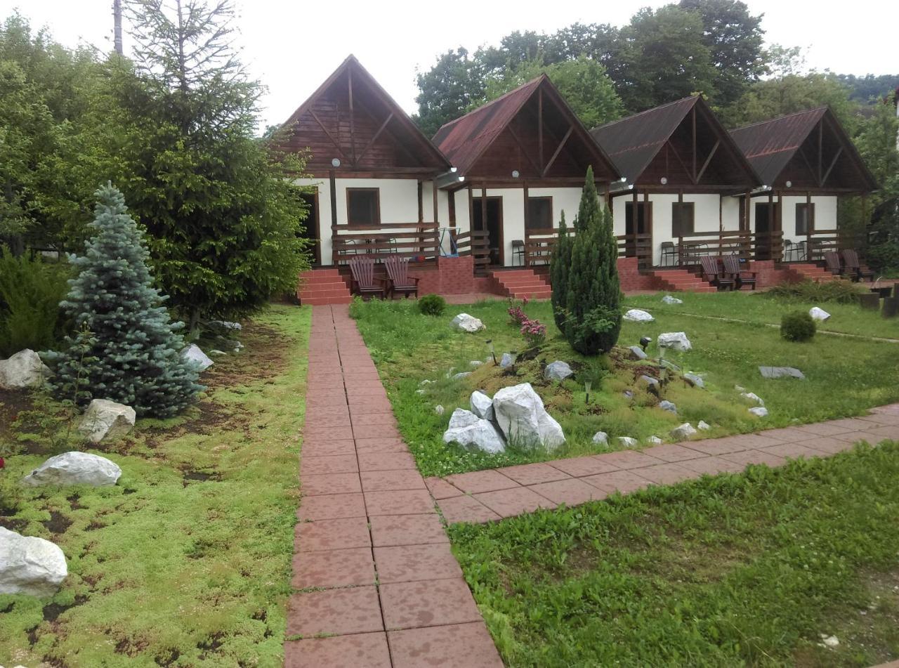 Vila Paula & Spa Совата Екстериор снимка